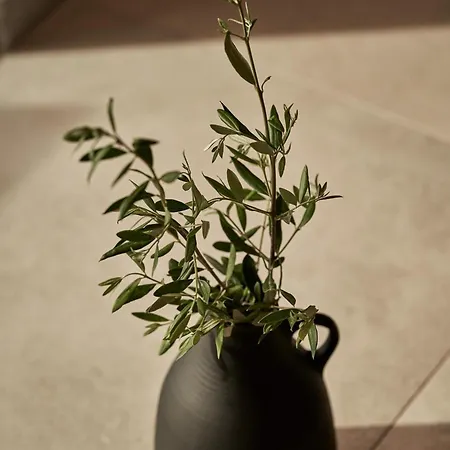 Beachfront Alassa W Private Pools Complex Βίλα *