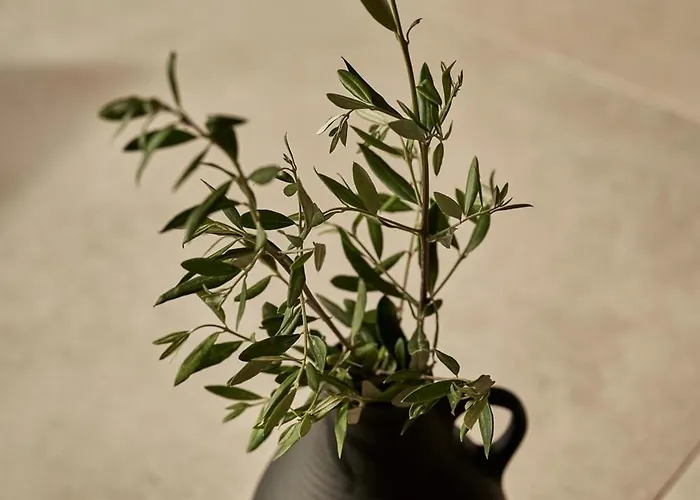 Beachfront Alassa W Private Pools Complex Villa *